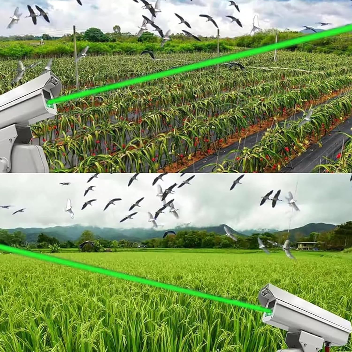 Bird Chaser, 360° Rotating Automatic Bird Repellent with Smart App Control, Auto Cruise Mode, Garden Protection, Outdoor Lawn Decoration, A 1W