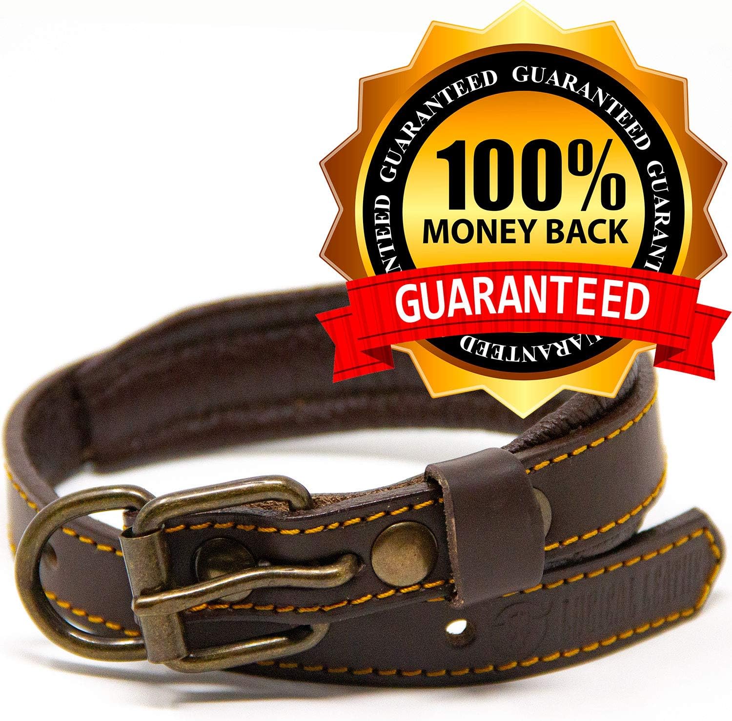 logical leather dog collar