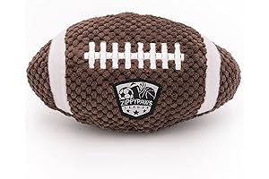 Zippy Paws SportsBallz: Squeaky Football Fun for Dogs