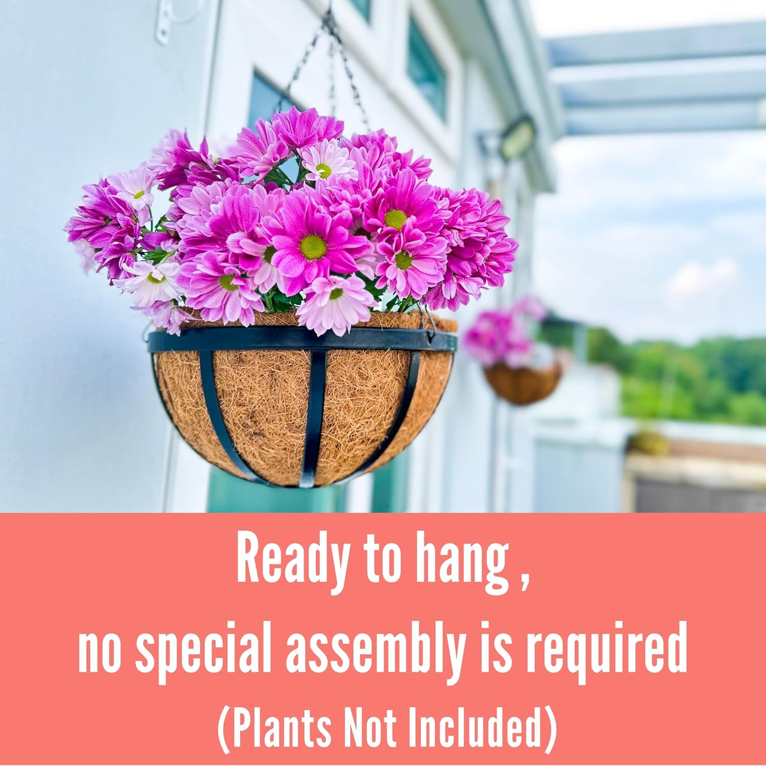 LaLaGreen Bundle- 2 Pack, 14 Inch Rectangular Self Watering Planter + 4 Pack, 16 Inch Hanging Basket with Coco Liner Metal Iron Flower Plant Pot Holder Vertical Indoor Garden Wall Mount Trendy Decor