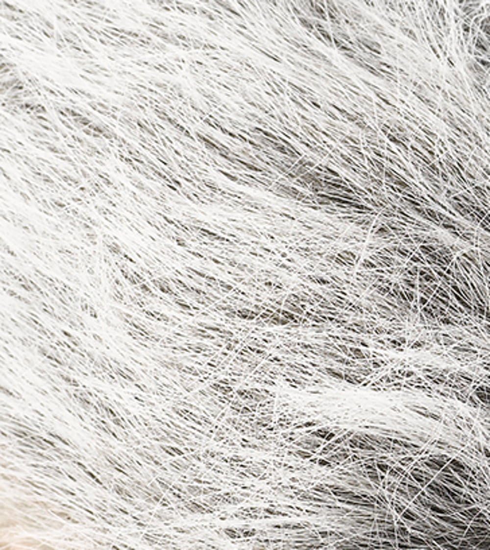 Petface Honking and Squeaky Duck Plush Dog Toy 4 81LPe7D3gCL. AC SL1121