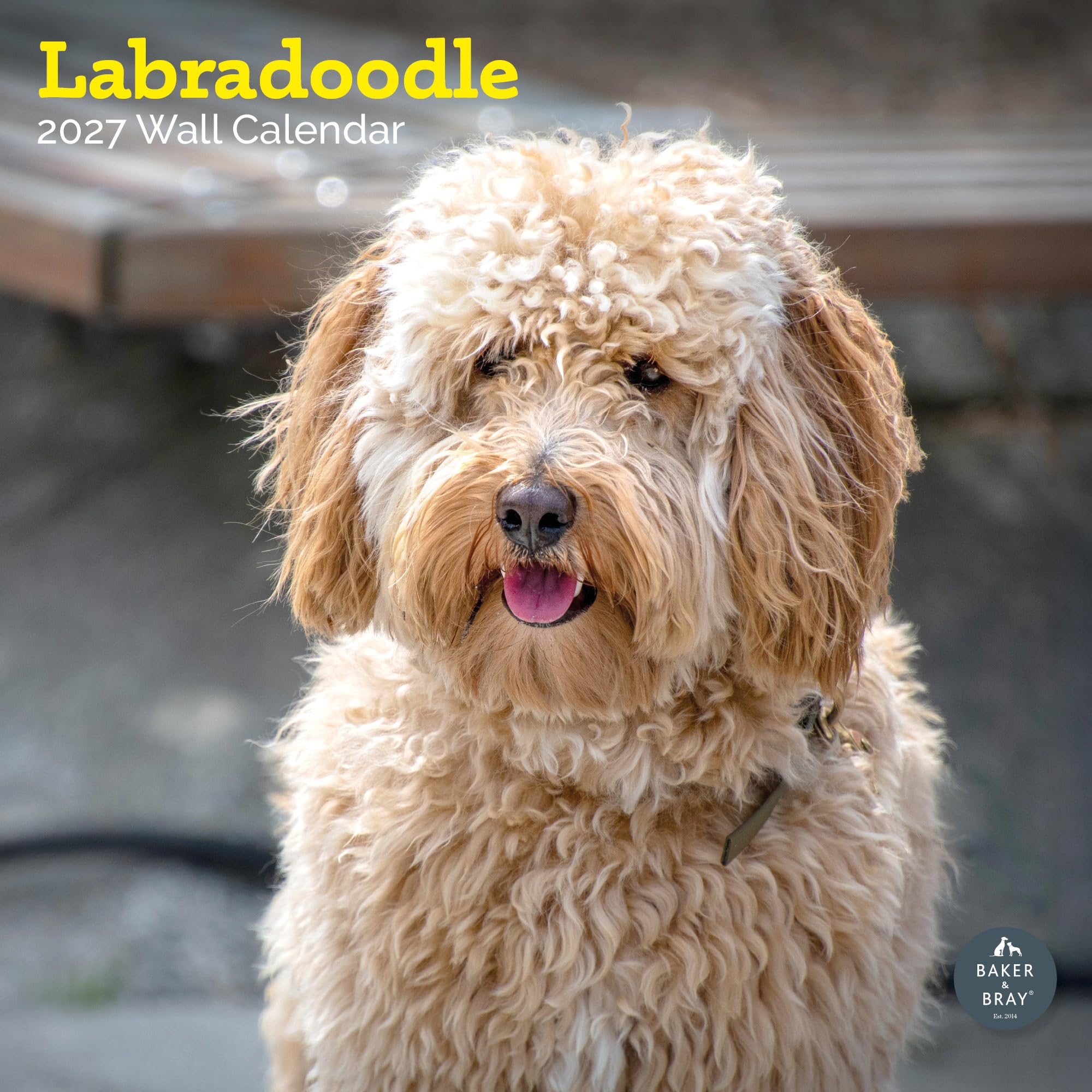 Baker and Bray Labradoodle Calendar 2027, Large