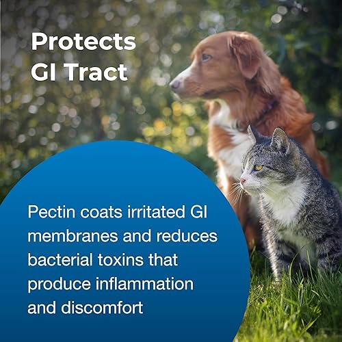 Miniatura 6 de PetAg Pet Pectillin Antidiarreico  4 onzas, paquete de 3  Ayuda a aliviar la diarrea o heces sueltas en perros y gatos  Reemplaza los electrolitos