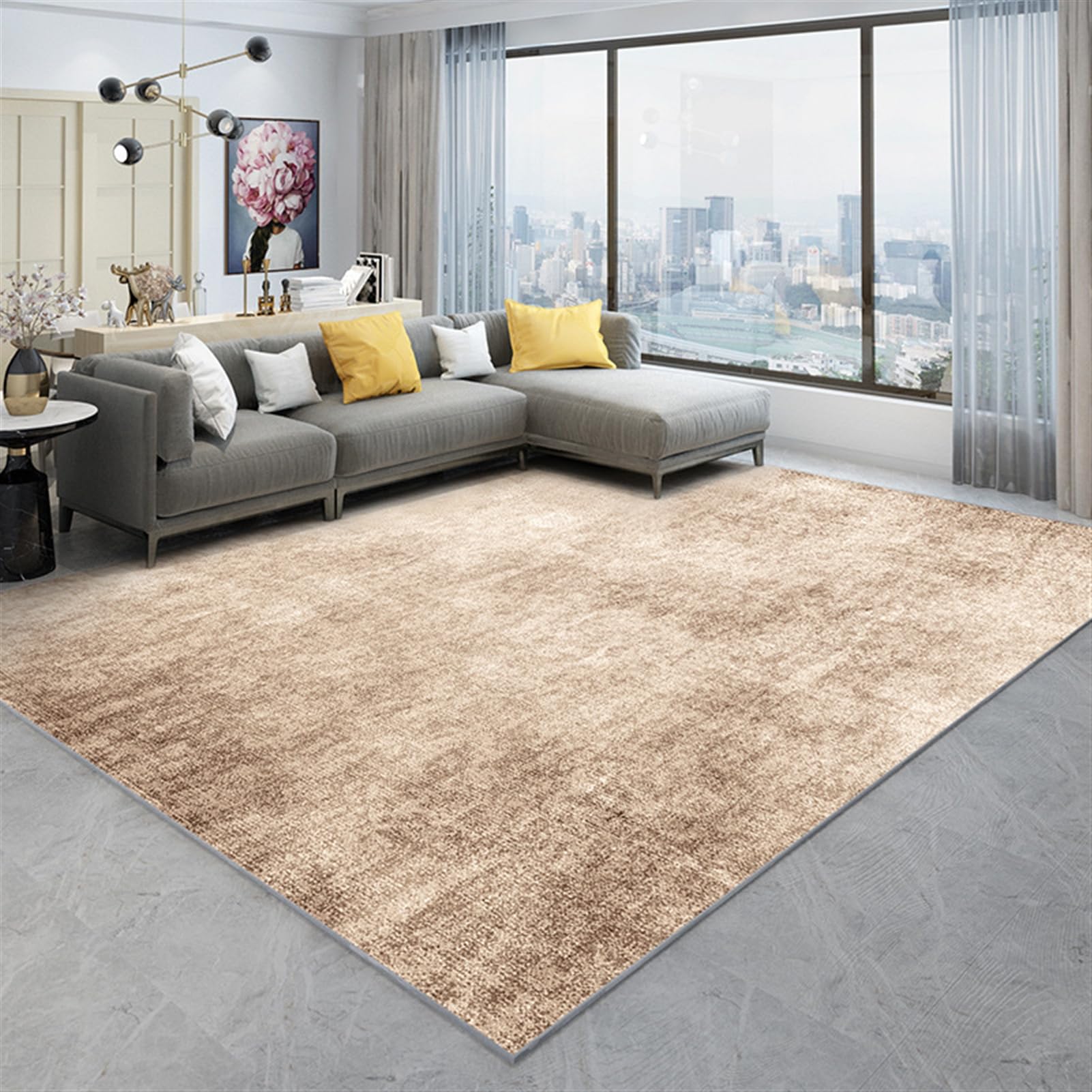 Tapis Lavable et Antidérapant 120x160 cm, Idéal Animaux pour un Salon Propre au Quotidien
