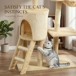 PawHut Arbre de chat, 53" Tour de chat pour les chatons d'intérieur avec des postes de scratching sisal, perches en peluche, condo, hamac, ardillon, jouets de danse, centre d'activités Kitty multi-niveaux, Beige