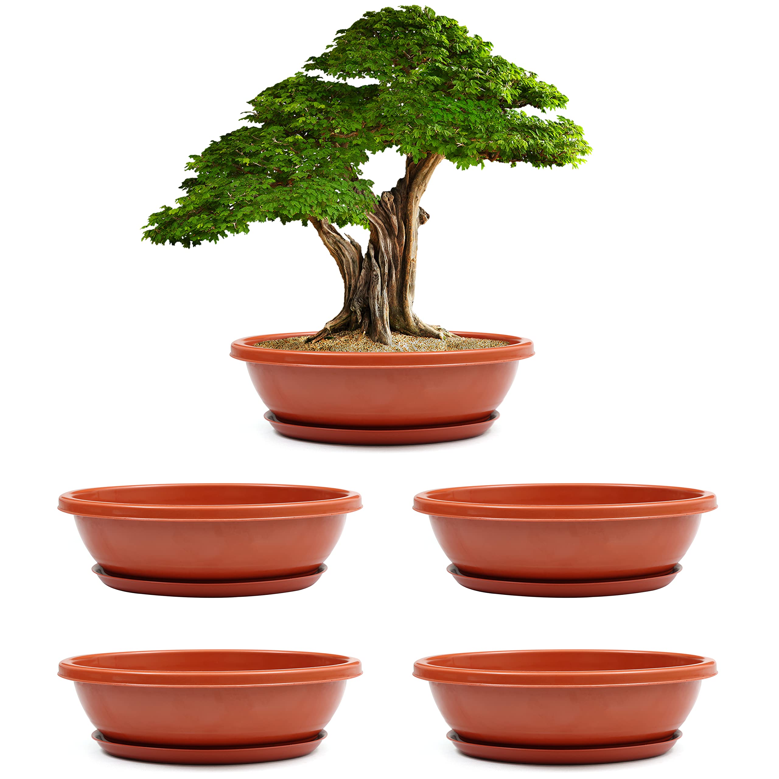 Livzing 15inch Pack of 5 Bonsai Flower Pot with Tray - Virgin Planter Pots with Drain Holes – Indoor Outdoor Balcony Gardening Pots - Oval Shaped Grow Pots for Plants - Terracotta
