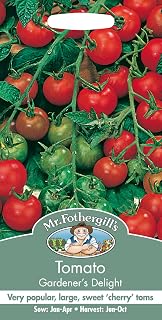 Mr Fothergill's 12062 Vegetable Seeds, Tomato Gardeners Delight
