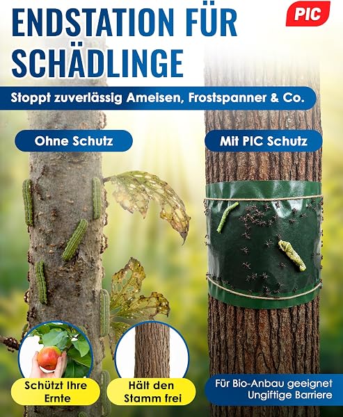 PIC Leimringe für Obstbäume selbstklebend - 5m Baumleimring, Leimring gegen ameisen & Raupenleim für Obstbäume, Stammschutz für Obstbäume gegen Ameisen & Frostspanner, Baumschutz - 2