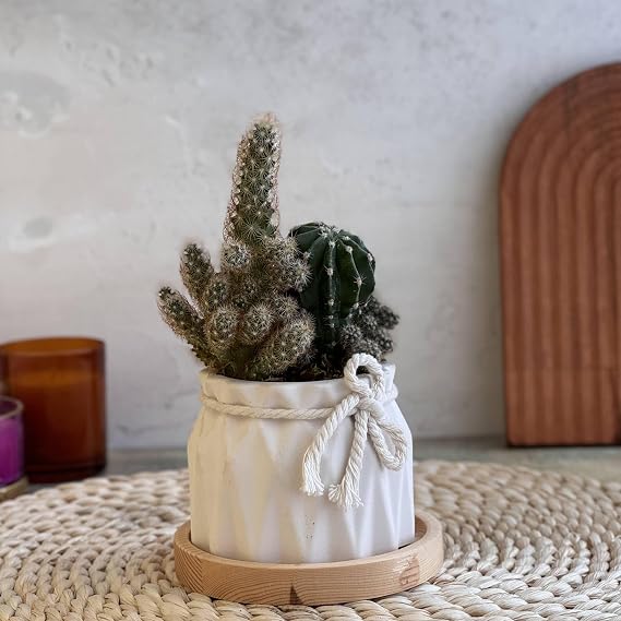 İkili Set, İskandinav Tarz Beyaz Beton Saksı - Minimal Dekoratif Saksı Seti