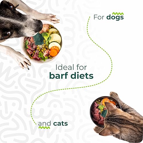 Vista 9 de Polvo de espirulina para perros y gatos – Suplemento natural para mascotas a base de plantas del desierto de Atacama – Polvo de microalgas densas