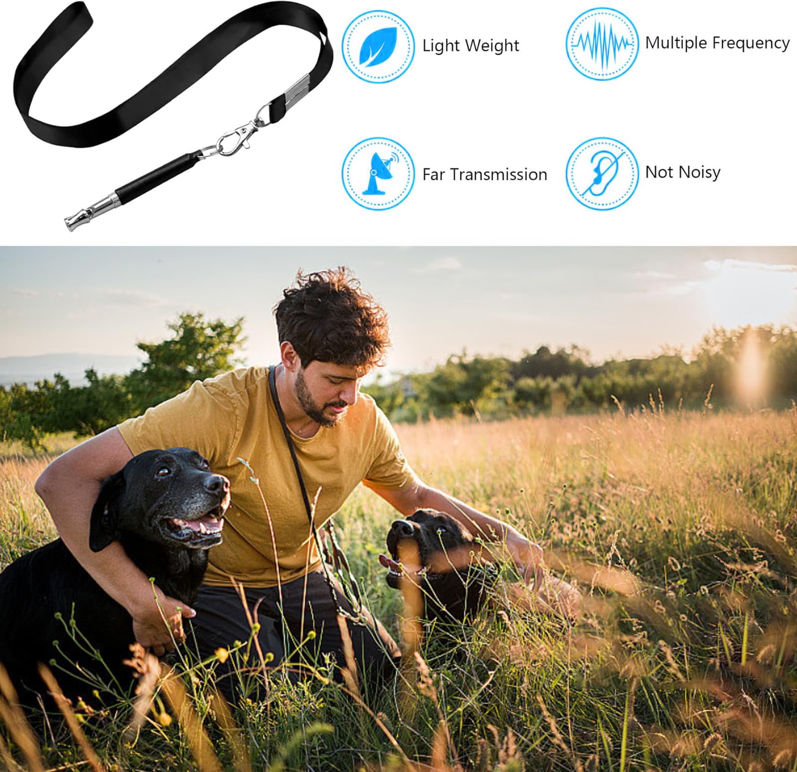 2 Pack Hundepfeife, Hundepfeife, um das Bellen von Nachbarn zu stoppen, verstellbare Ultraschall leise Hundepfeife, professionelle Rückruf-Hundetrainingspfeife mit Umhängeband (4)