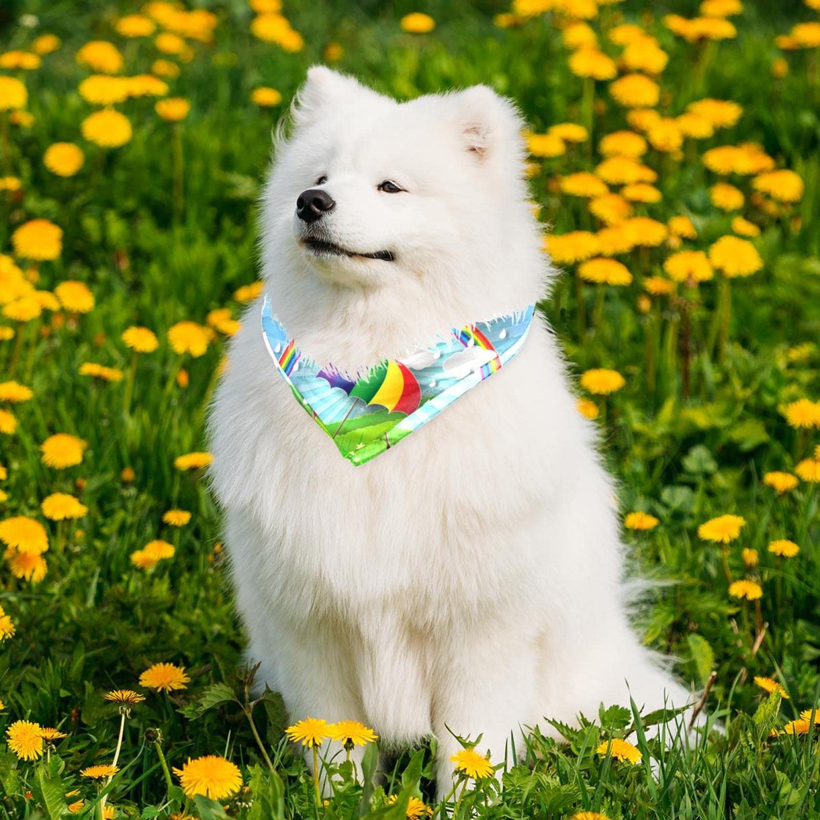 LUMoony Regenbogen Hundetuch - Waschbares Dreieckstuch Für Hunde & Katzen
