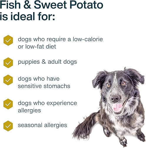 Miniatura 41 de JustFoodForDogs Alimento fresco congelado para perros, comida completa o alimento para perros, receta de alimento humano de carne de res y patata