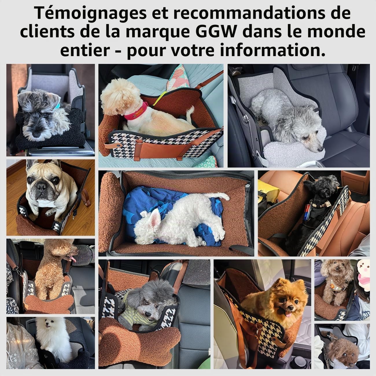 GGW Siège Auto 99% accoudoir Central Petits Chiens Fixation étanche Cuir Noir