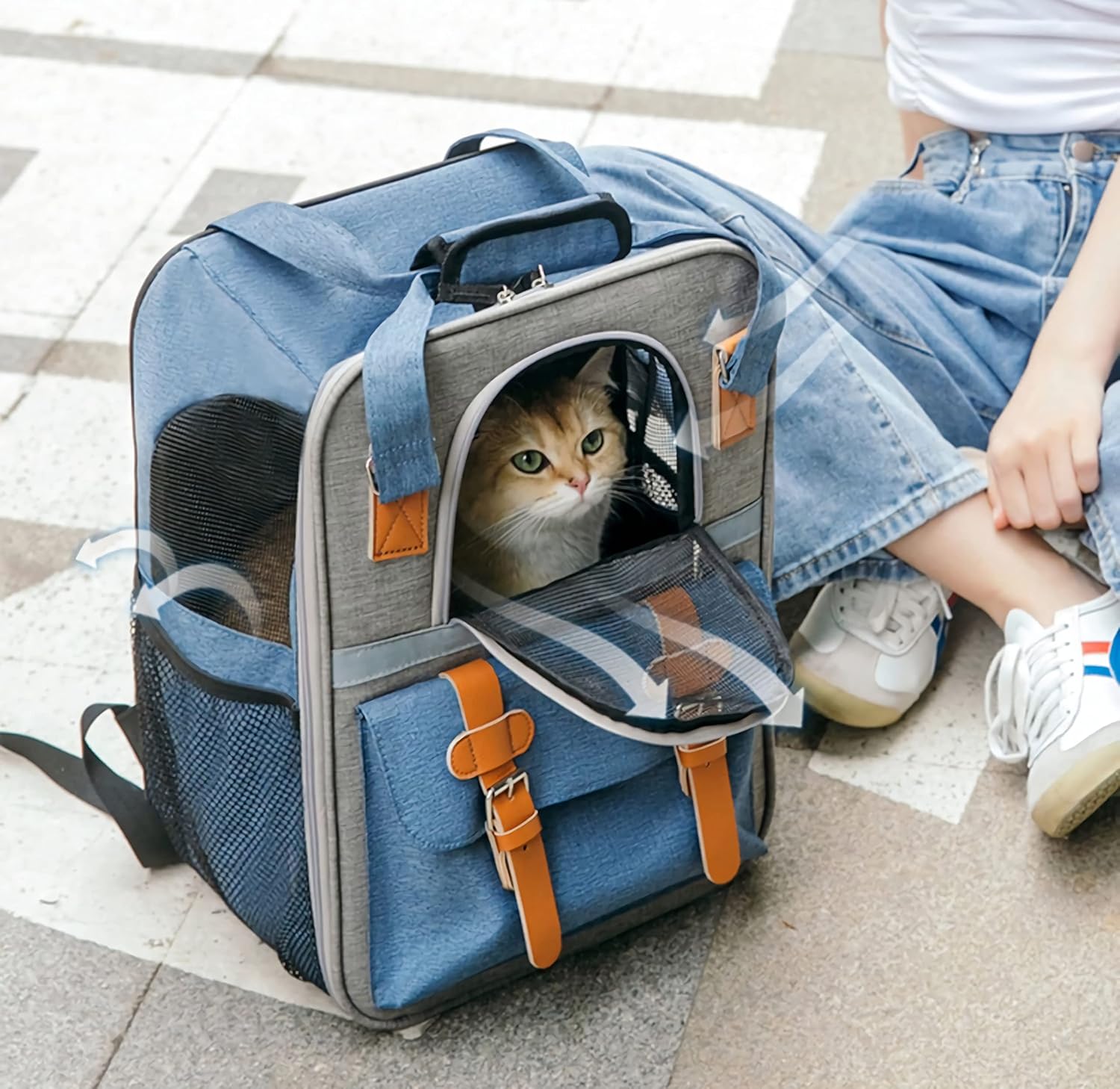 HIGH PAW Pet Carrier Backpack, Cat Small Dog Backpack Carrier for Traveling Hiking Outdoor with Ventilated Mesh Straps Premium Oxford Cloth Leather Buckle(Blue) HP001 : Pet Supplies