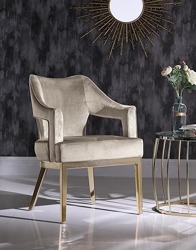 Iconic Home Gourdon Accent - Silla tapizada de terciopelo de felpa, brazo inclinado en tono dorado, patas de metal sólido, moderno, contemporáneo,