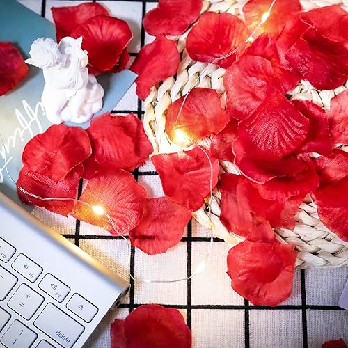 Miniatura 4 de 2400 pétalos de rosa con cadena de luz LED