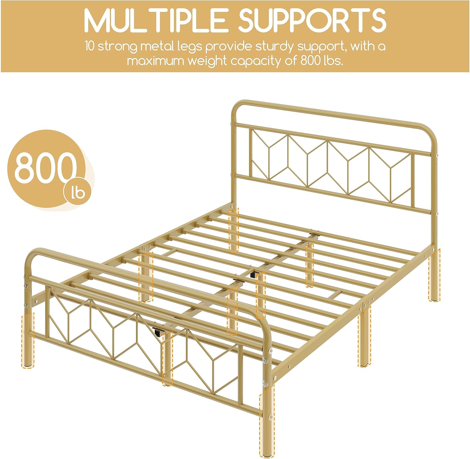 Diagram showing multiple support legs and 800 lb weight capacity