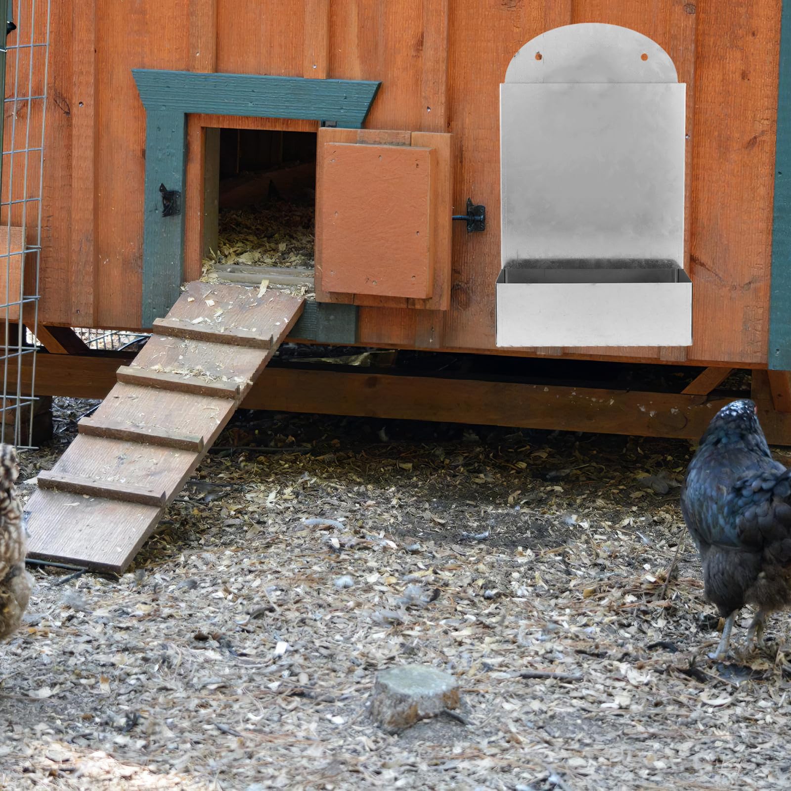 Mangiatoia per Polli in Ferro Dispenser Automatico per Gusci D'ostrica e Ghiaia, Installazione Facile, per Piccolo Pollaio e Fattoria