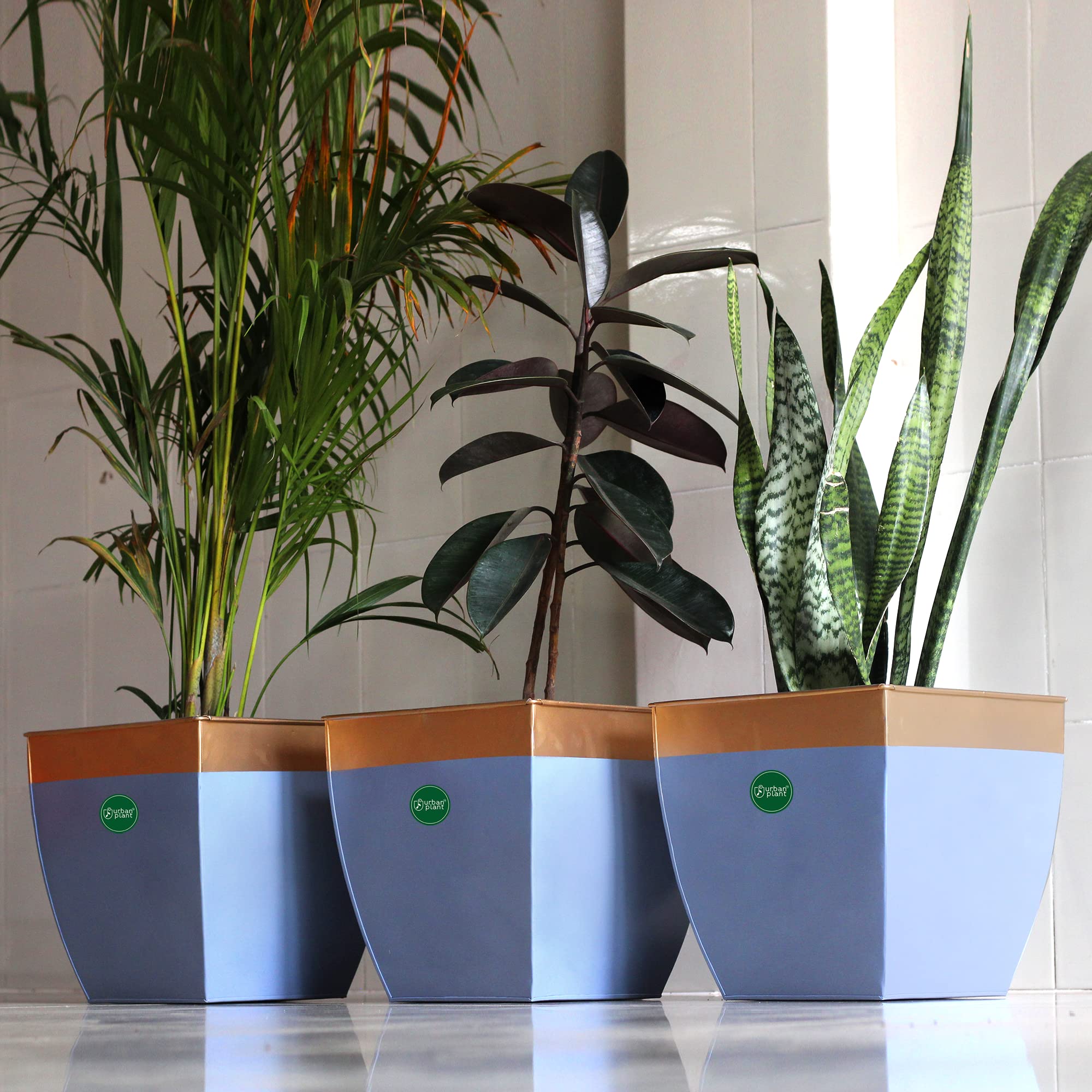 Urban Plant Jumbo Titan Metal Planter | Balcony Patio Plant Pot | Planter Suitable for Indoor & Outdoor | Big Size Gamla Planter for Balcony, Garden, Home & Office (Cyan, 3) (B0C6DPVBN3) Amazon Price History, Amazon Price Tracker