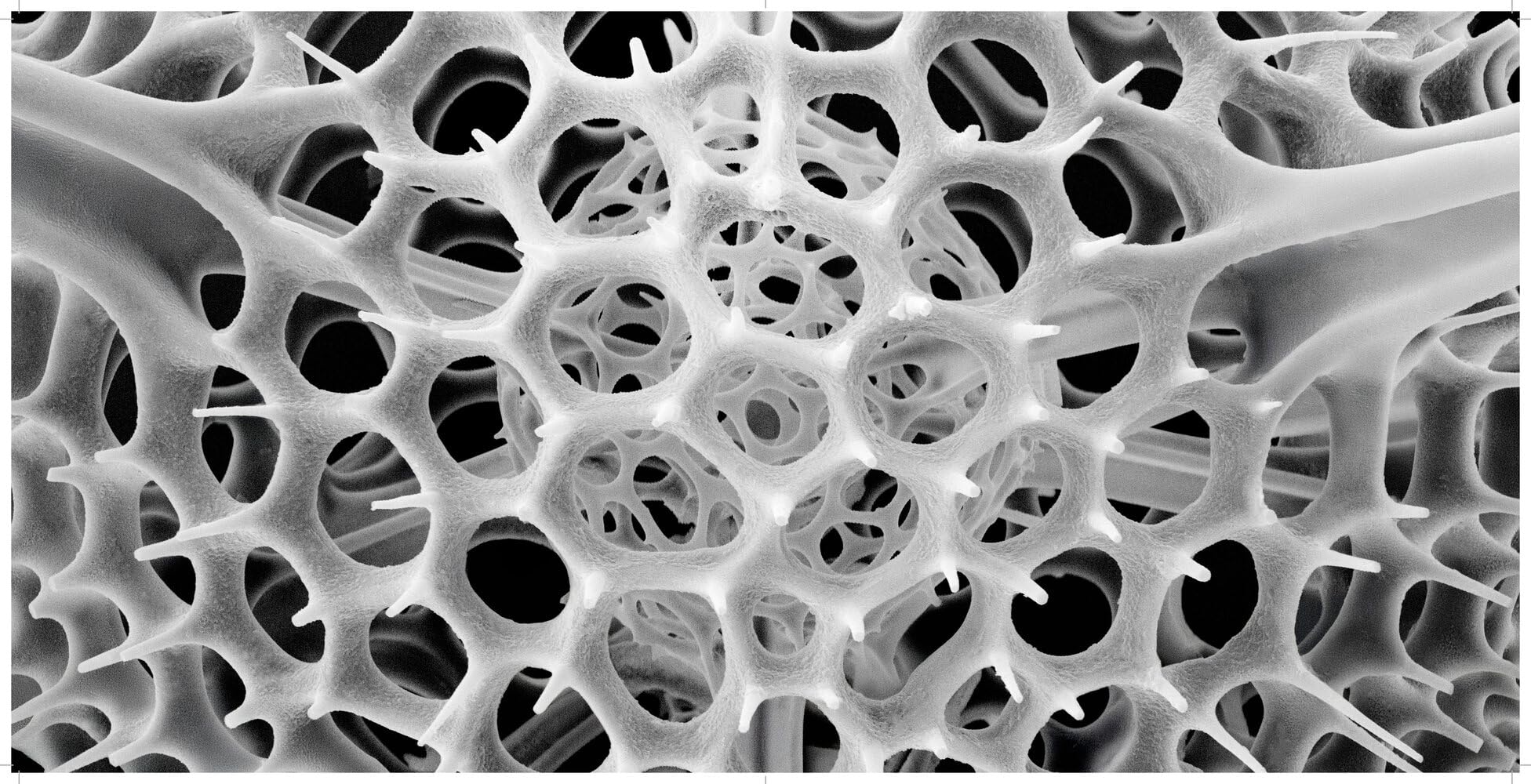 Nanocosmos: Journeys in Electron Space