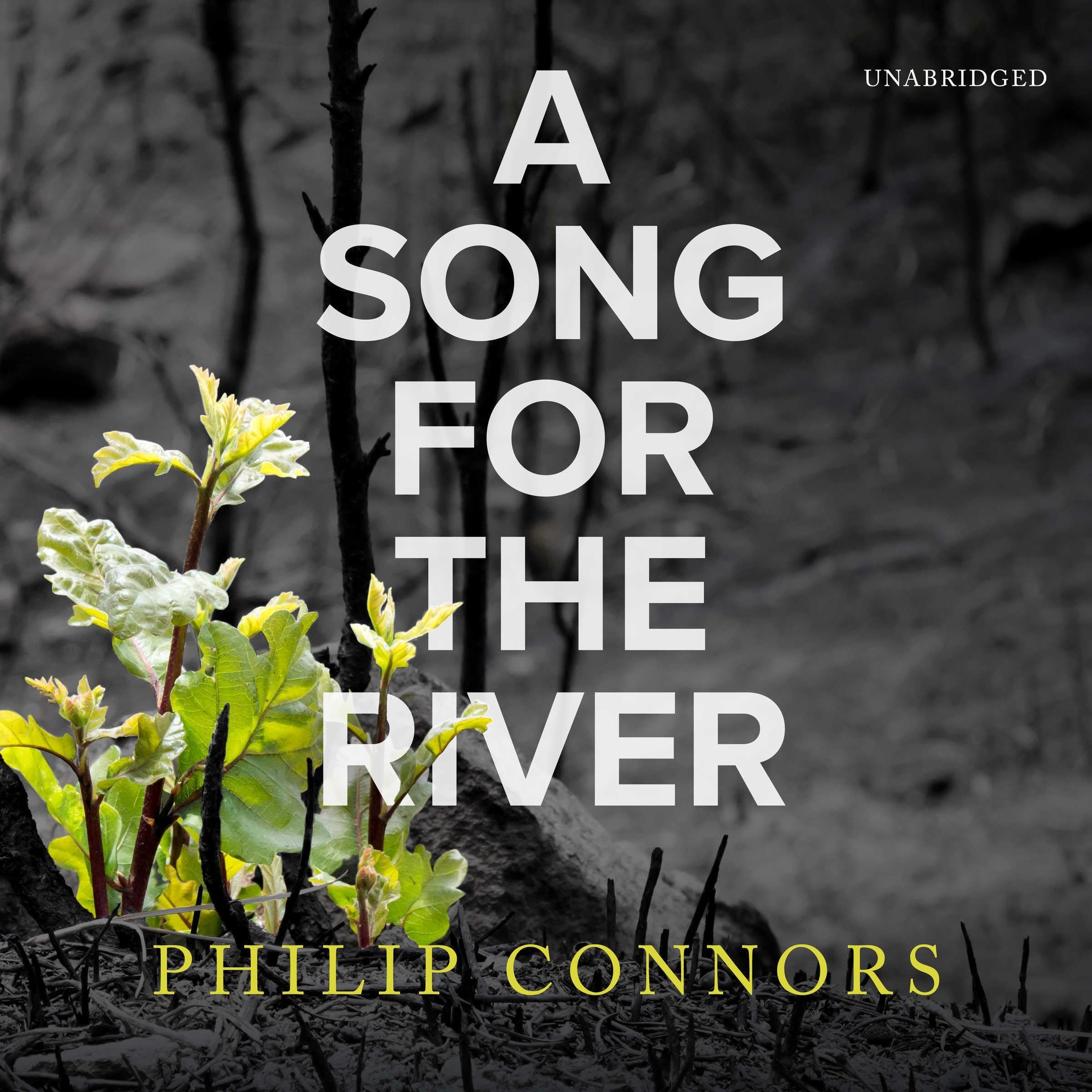 Cover art for A Song for the River