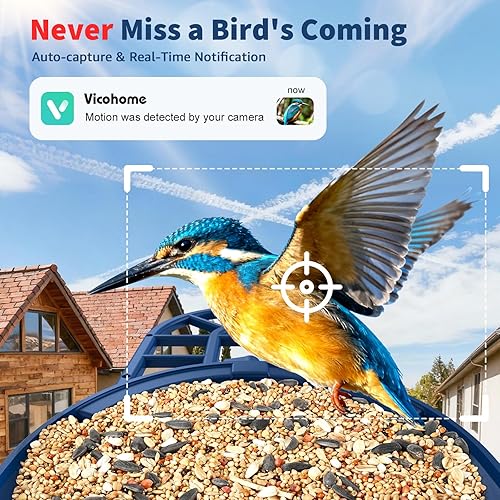 Miniatura 6 de PeckCam® Comedero para pájaros con cámara con IA para identificar más de 10000 especies de aves, 3 paneles solares, vista en vivo en 2K, alertas de