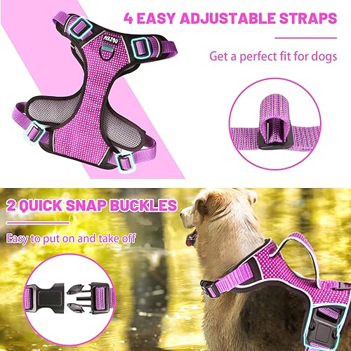 Miniatura 9 de NAZOU Juego de arnés y correa para perro, arnés reflectante de nailon para mascotas al aire libre con asa de fácil control, arnés ajustable para