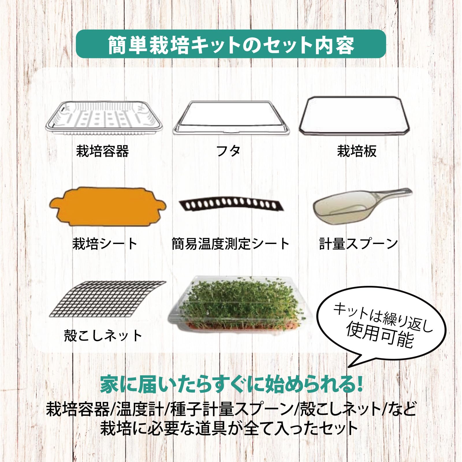 Amazon.co.jp: ブロッコリースプラウト 種子 栽培キット 非遺伝子組