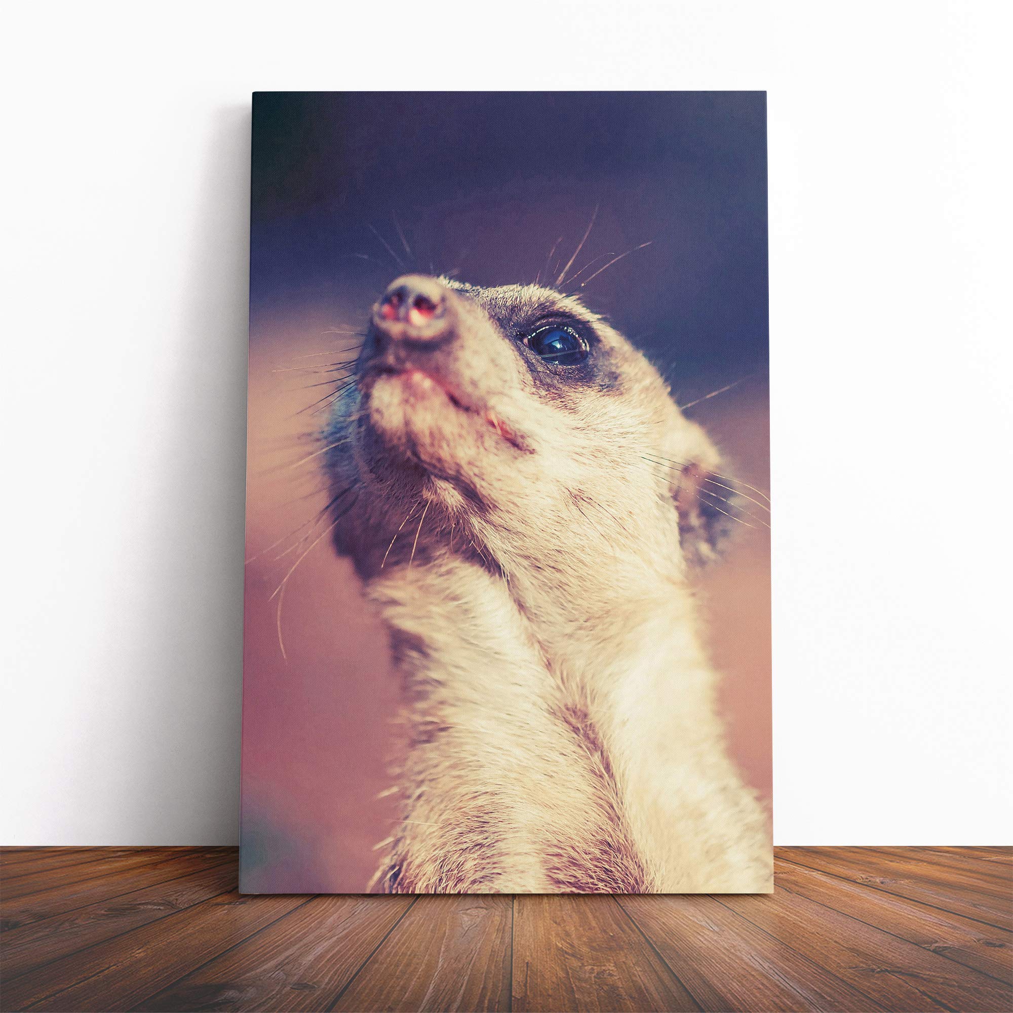 Meerkat Vol.5 Canvas Print | Gallery Wrapped 30mm Frame Wall Art | 20x14 inches | Ready to Hang | Modern Picture | Living Room Bedroom Lounge Office