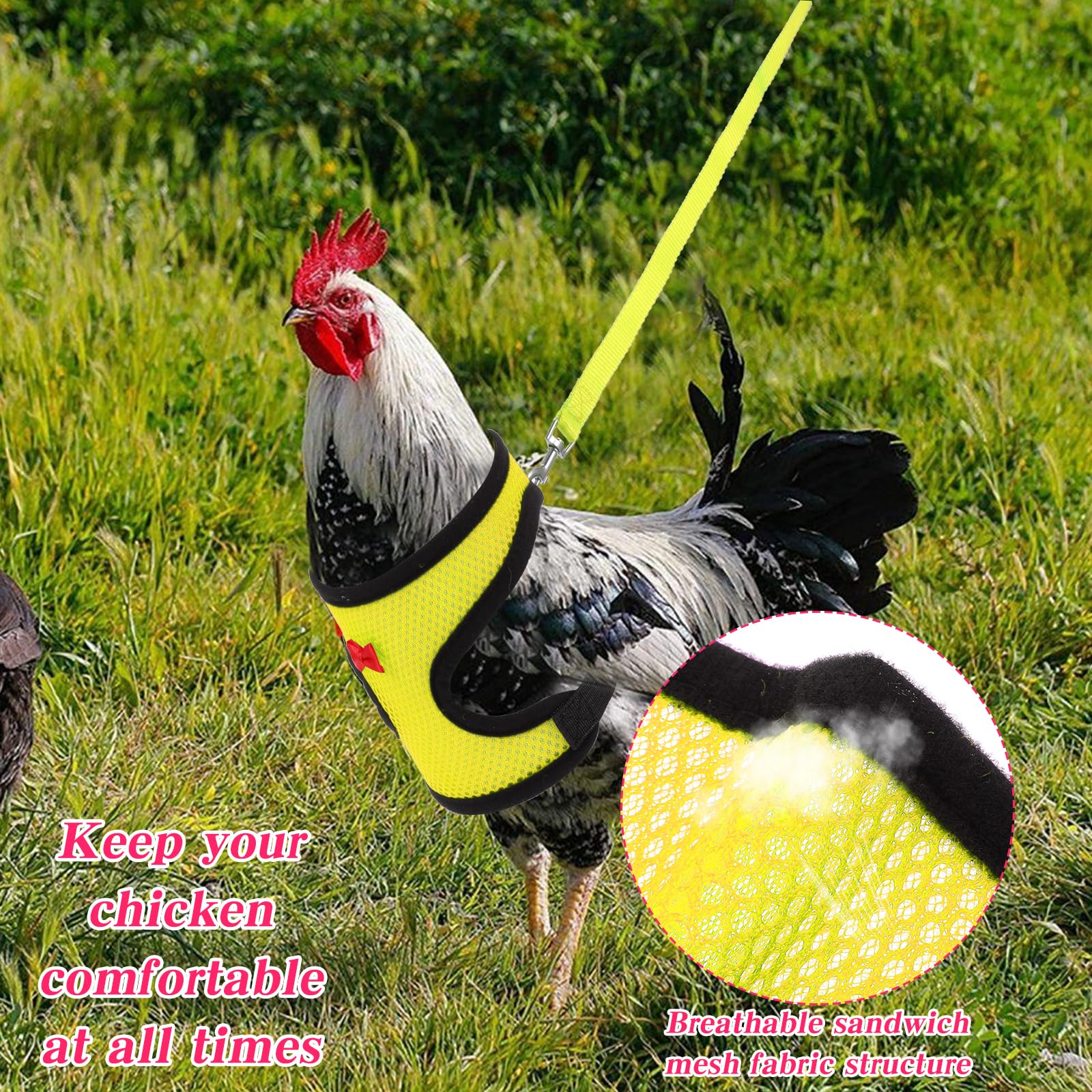 Ensemble de laisses et harnais réglables à double réglage en nylon confortable avec laisse de 1 m pour poules, canards, oies, petits animaux de compagnie (rose, M)