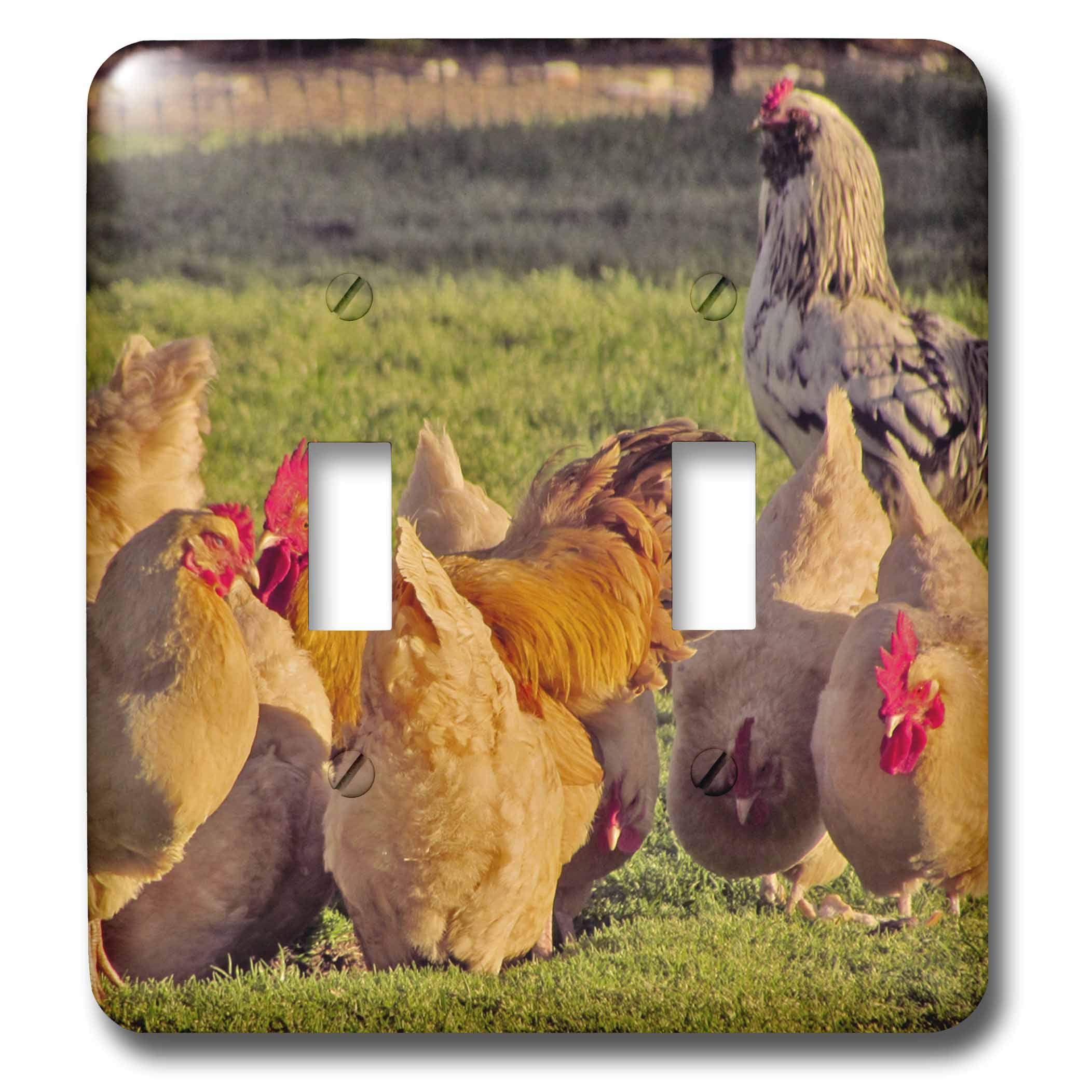 Interrupteur à bascule Chickens Group pour cuisine rustique chic 3dRose