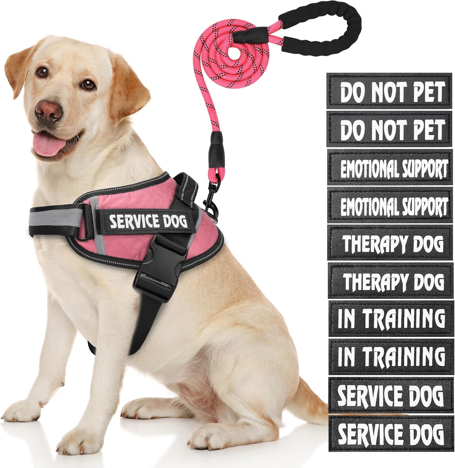 Small Service Dog Vest, DEWVIE Dog Harness and Leash Set with 10 Patches