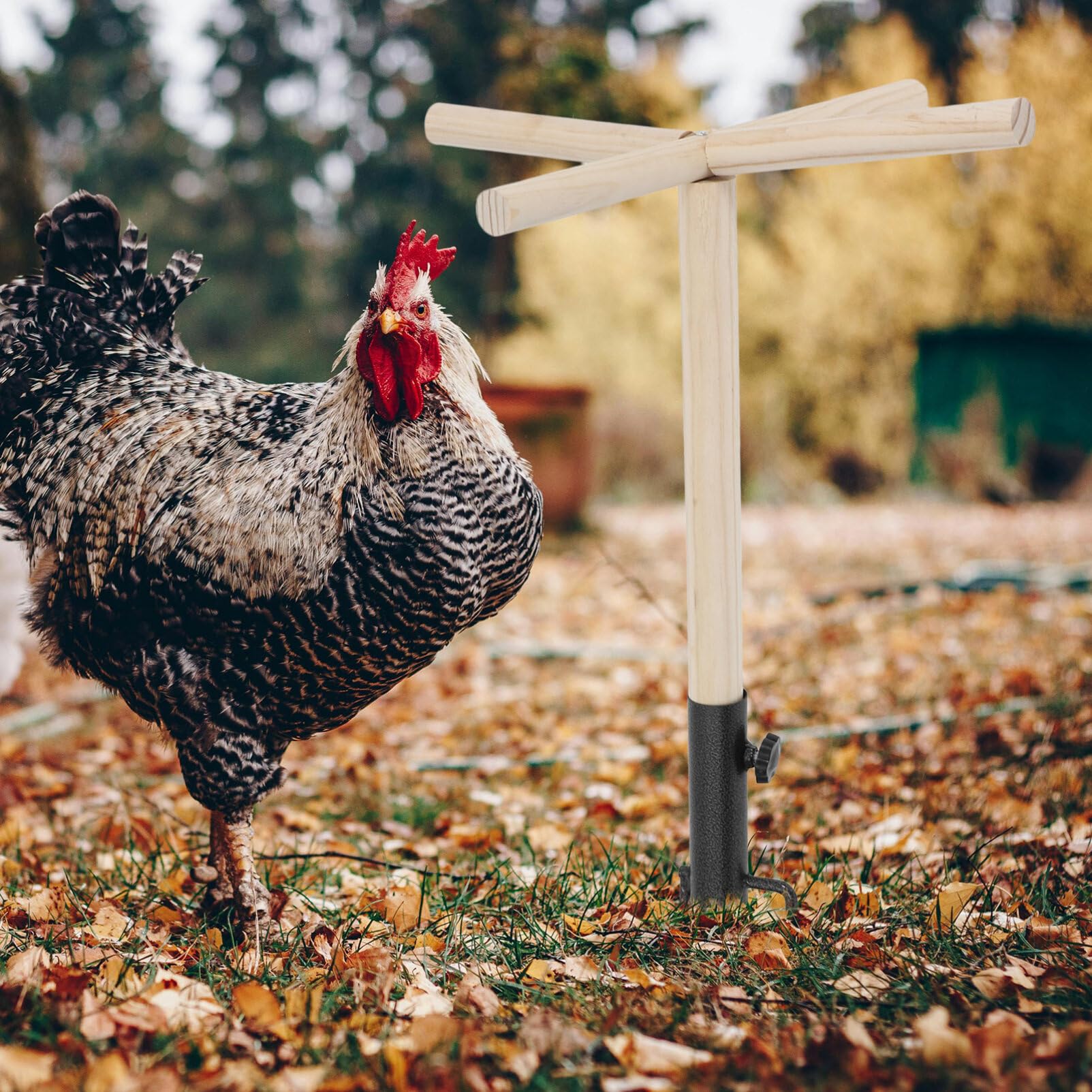 Percha de Madera para Pájaros y Pollos Buena Textura | Soporte de Hierro, Uso en Juego, Acabado Natural, para Gallinas y Aves en Espacios Exteriores