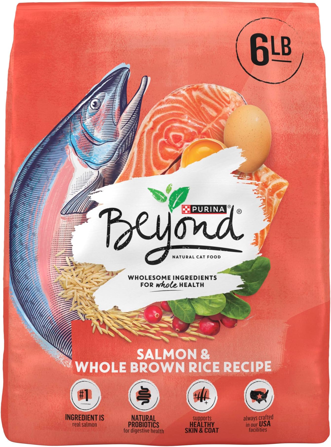 Natural Wholesome Ingredients for Whole Health Dry Cat Food Salmon and Whole Brown Rice Recipe - 6 lb. Bag