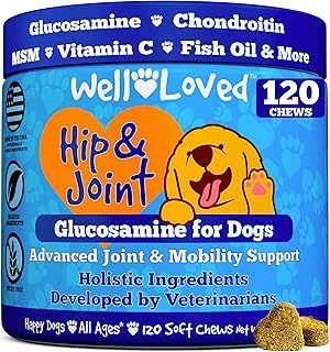 Glucosamine for Dogs - Joint Supplement for Dogs, Made in USA, Vet Developed, Dog Joint Supplement, Glucosamine Chondroitin for Dogs, Advanced Hip and Joint Chews with MSM, Pain Relief, 120