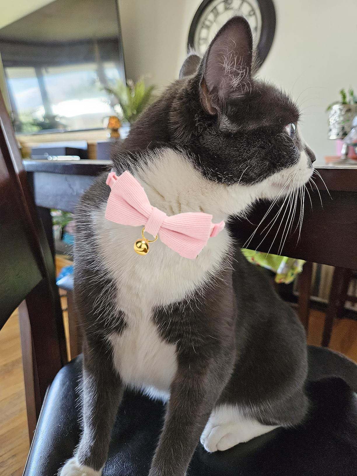Paquete de 2 collares de pana suave para gatos con pajarita y campana, collar ajustable de algodón para gatito hembra (rosa y morado)