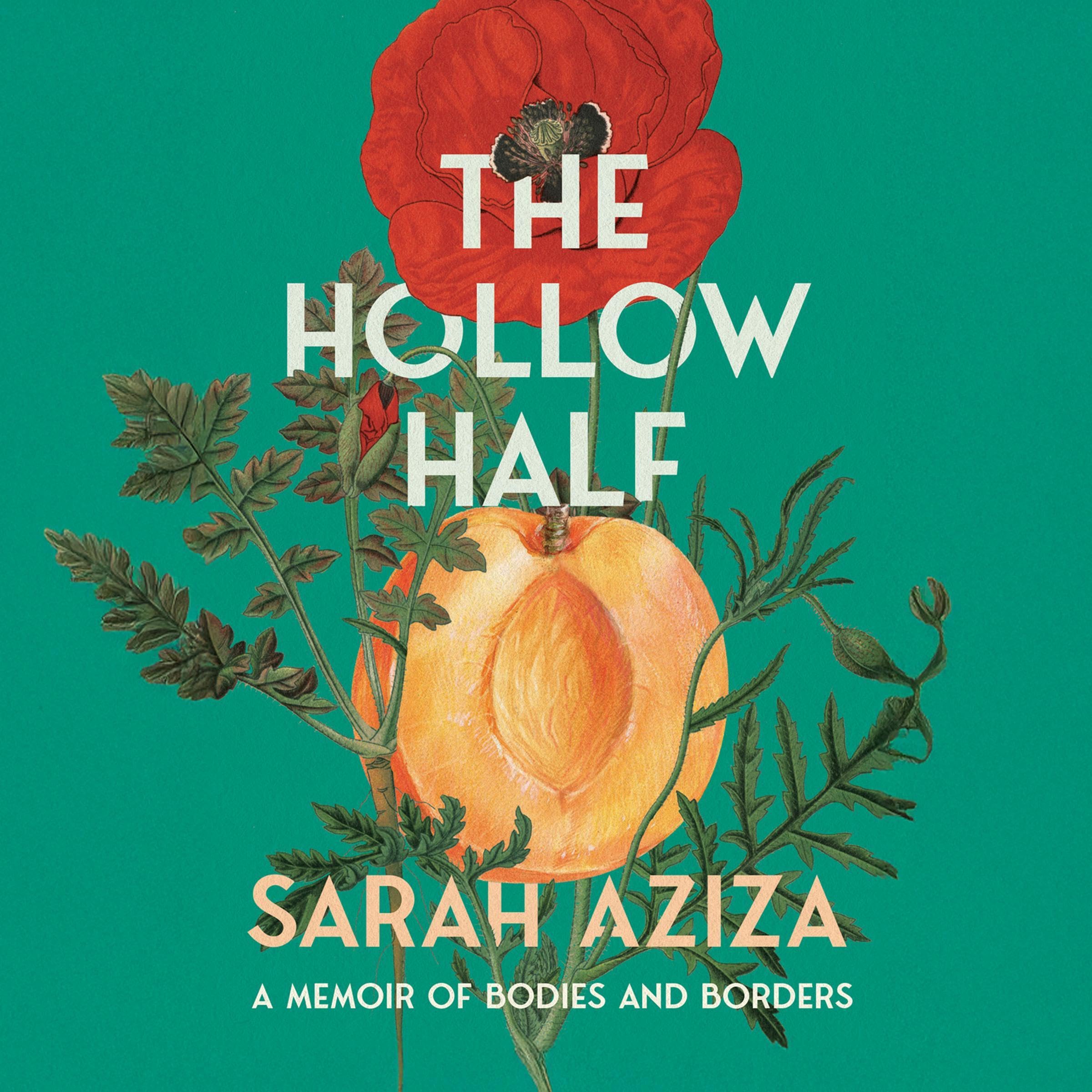 Cover art for The Hollow Half