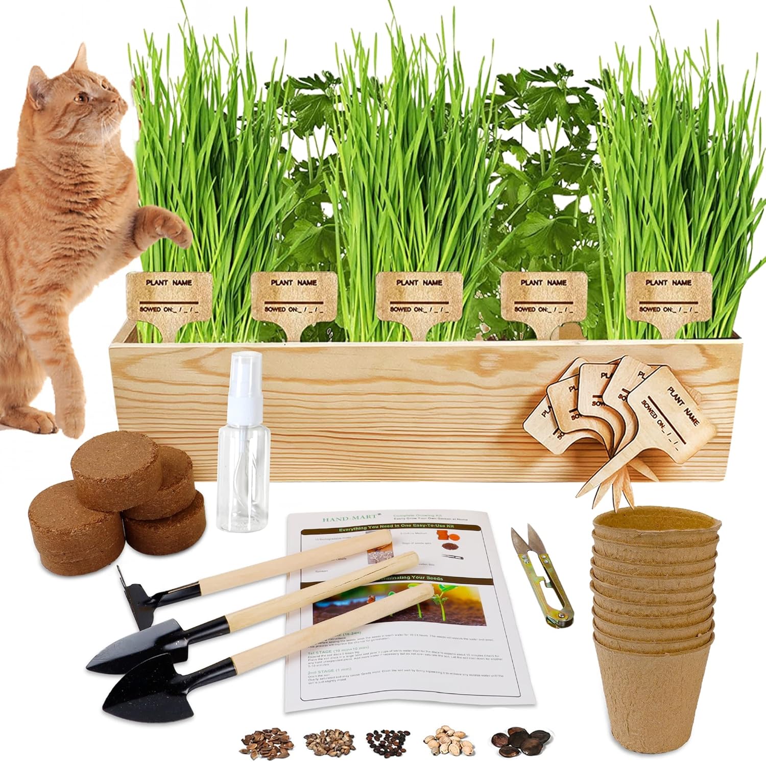Meekear Indoor Cat Grass Growing Kit, 5 Flavor Grass Seeds