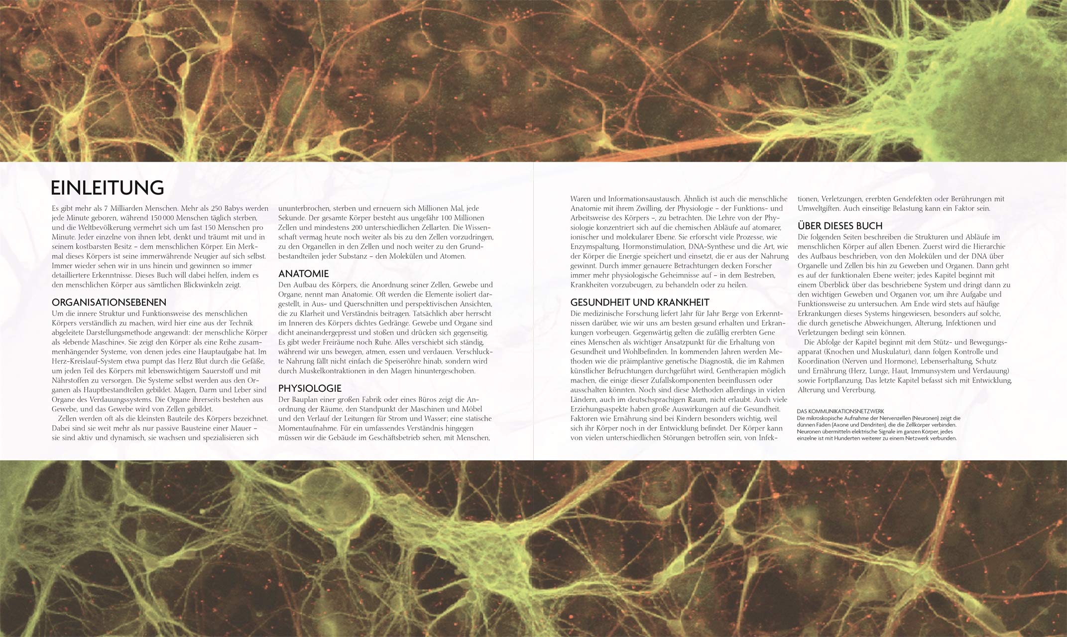 Der menschliche Körper: Bildatlas der Anatomie. Mit interaktivem Bildmaterial zum Download