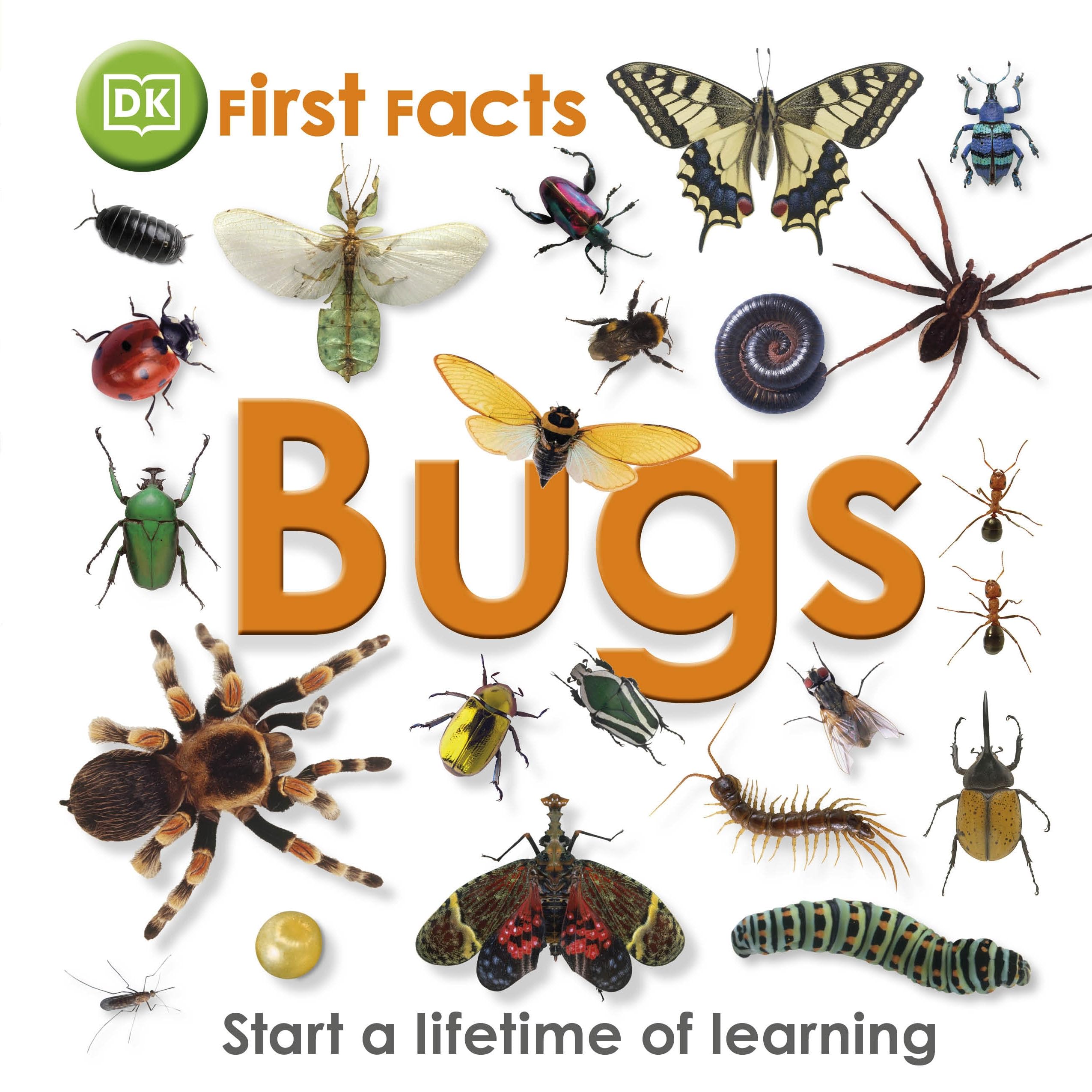 Bugs. Hardcover – January 1, 2011