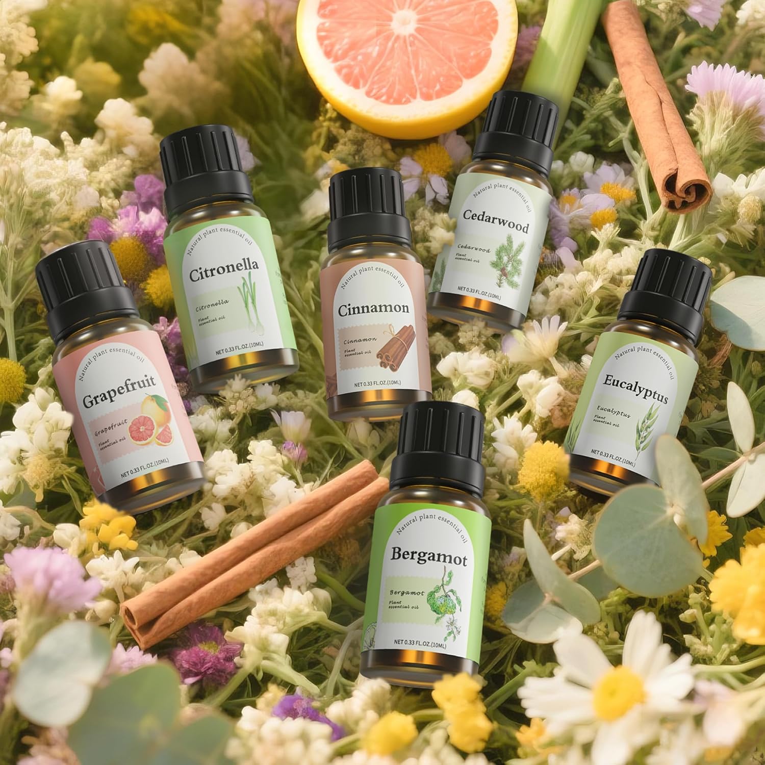 Uplifting Essential Oil Set - 6 Energizing Blends with Citrus & Eucalyptus: Grapefruit, Bergamot, Cinnamon, Cedarwood, Citronella | 10ml Each for Diffuser - Image 4