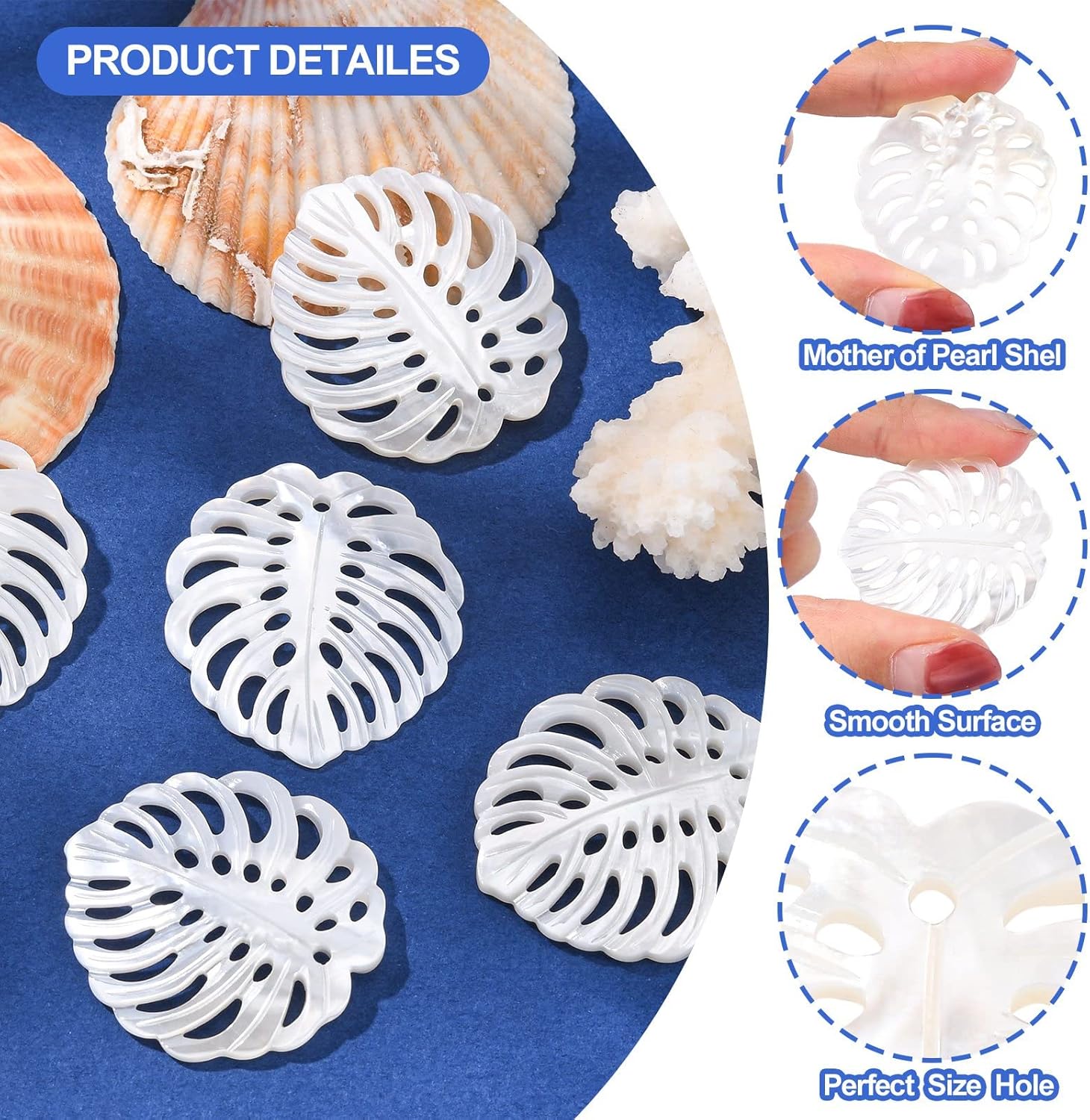 Airssory 5 Pcs Natural Shell Charms Tropical Monstera Leaf Charms for Jewelry Making DIY Necklace Bracelet