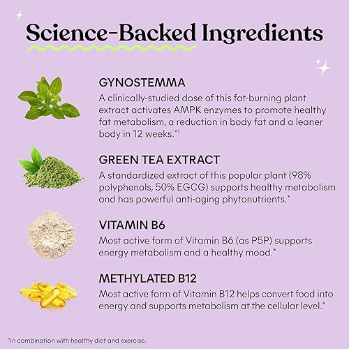 Miniatura 3 de Lemme Burn - Metabolismo, quema de grasa del vientre + suplemento activador AMPK para hombres y mujeres con actiponina gynostemma clínicamente