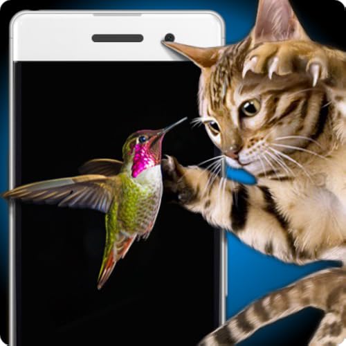 Birds for Cat Simulator