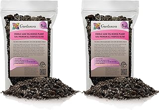 Premium Fiddle Leaf Fig Premium Soil Mix