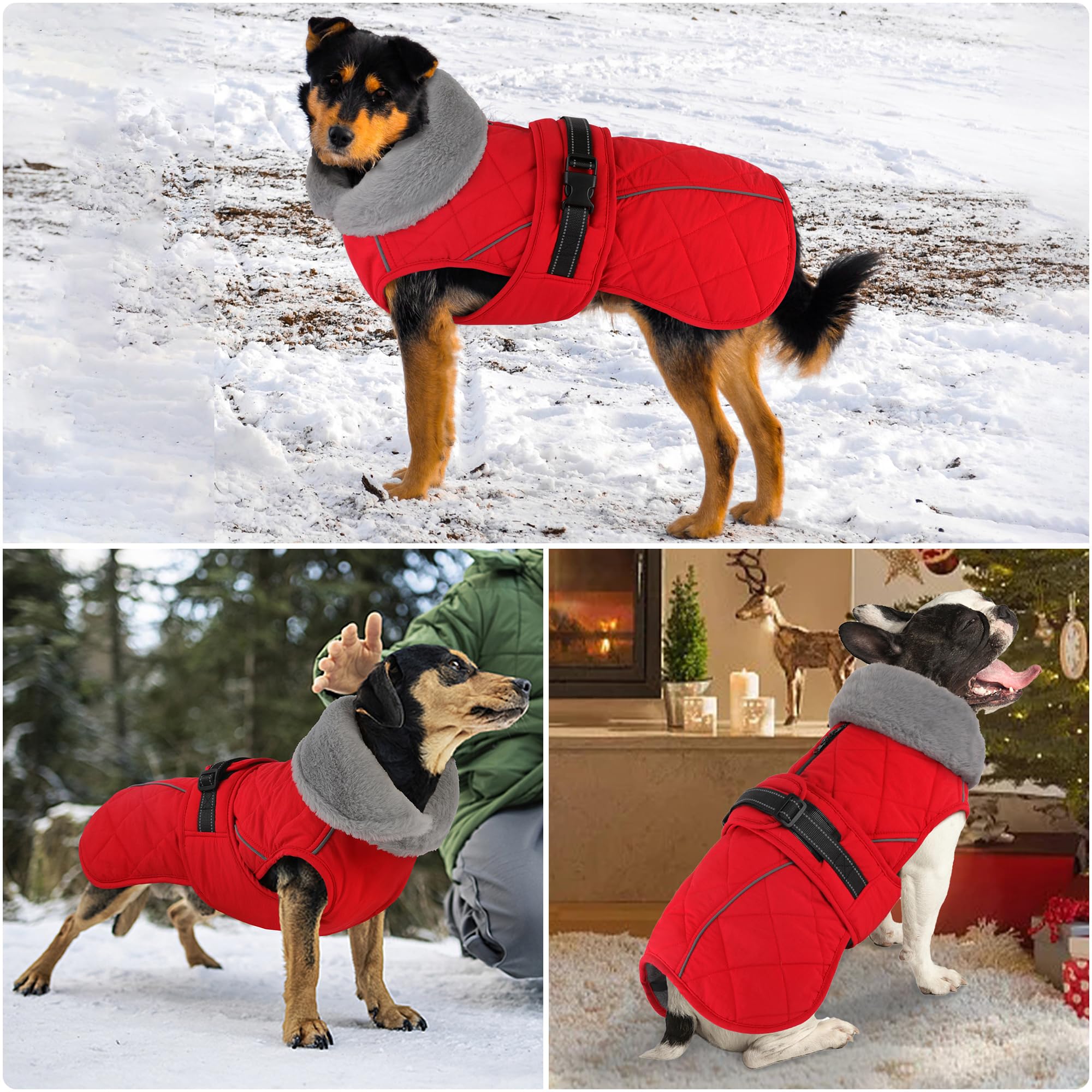Petglad Veste imperméable pour chien, veste d'hiver avec boucle réglable, gilet réfléchissant à col montant pour animaux de compagnie, pull en polaire chaud pour chiens de petite, moyenne et moyenne