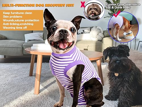 Miniatura 2 de SyChien Traje de recuperación para perros hembra, esterilización, recuperación de cirugía masculina, camisa grande, de algodón peinado suave para