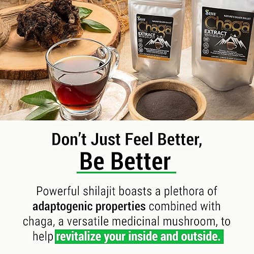 Miniatura 5 de Suplementos Chaga + Shilajit - Extracto de Chaga + polvo de Shilajit (4 onzas), trozos crudos de chaga (1 libra), tabletas de Shilajit