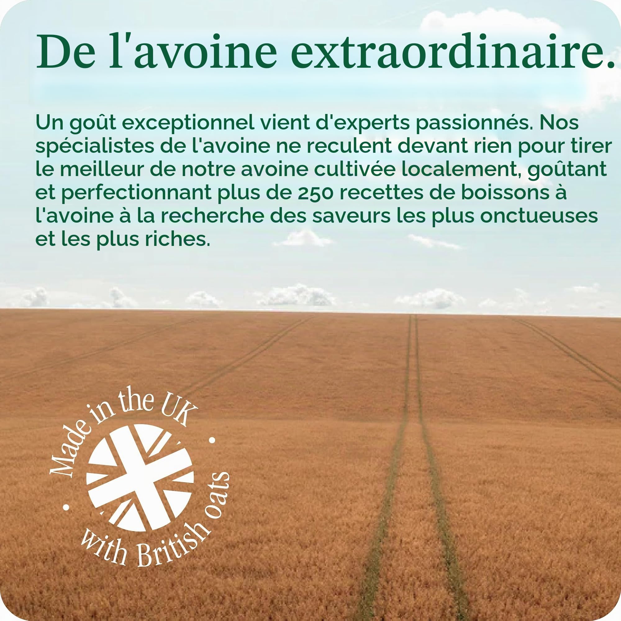 MOMA Barista Edition Lait d'avoine | 6 x 1 L | 100% végétal végétalien | Fabriqué avec toute l'avoine pour ajouter des fibres et une saveur délicieuse | Sans sucre ajouté | Boisson d'avoine